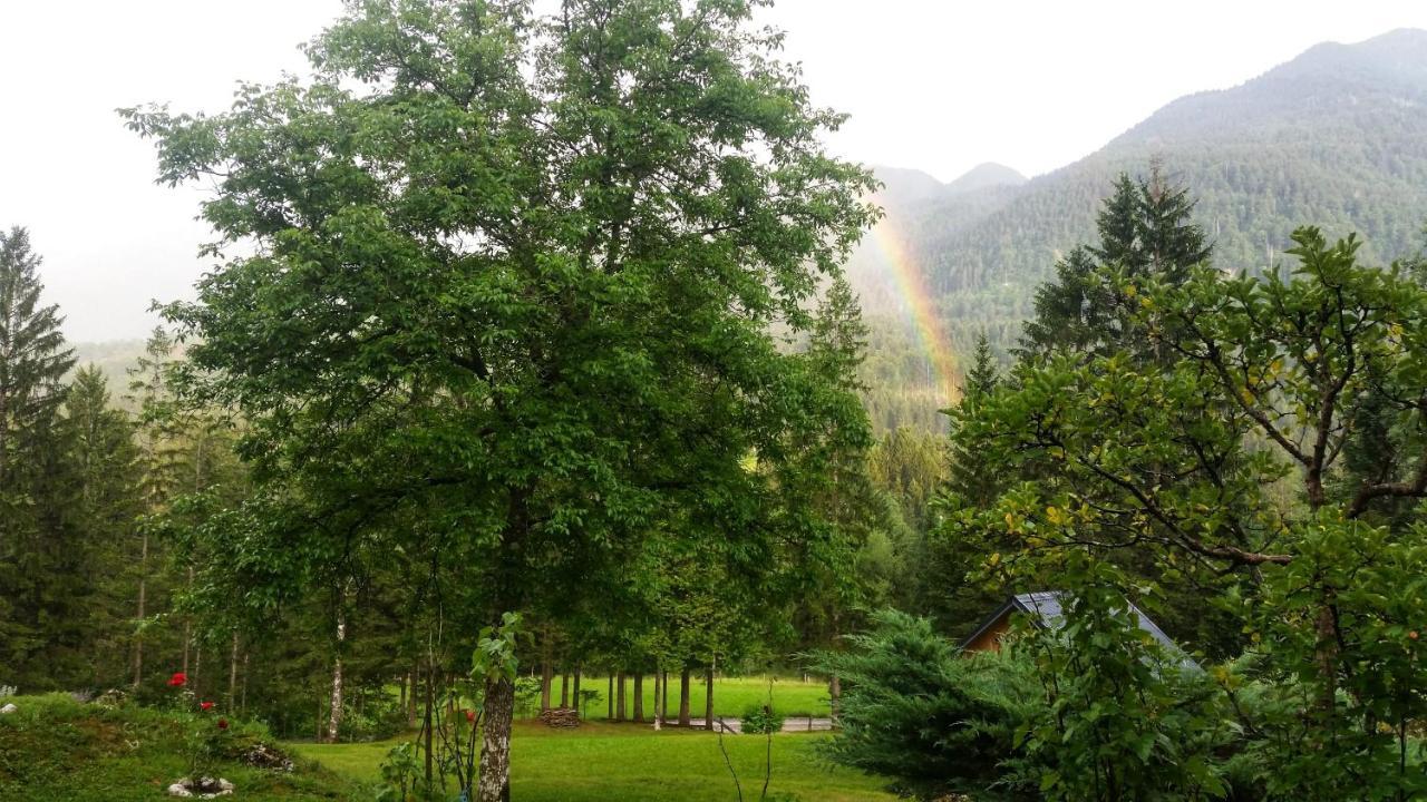 Vila Pocitniska Hisa Eros Bohinj Exteriér fotografie
