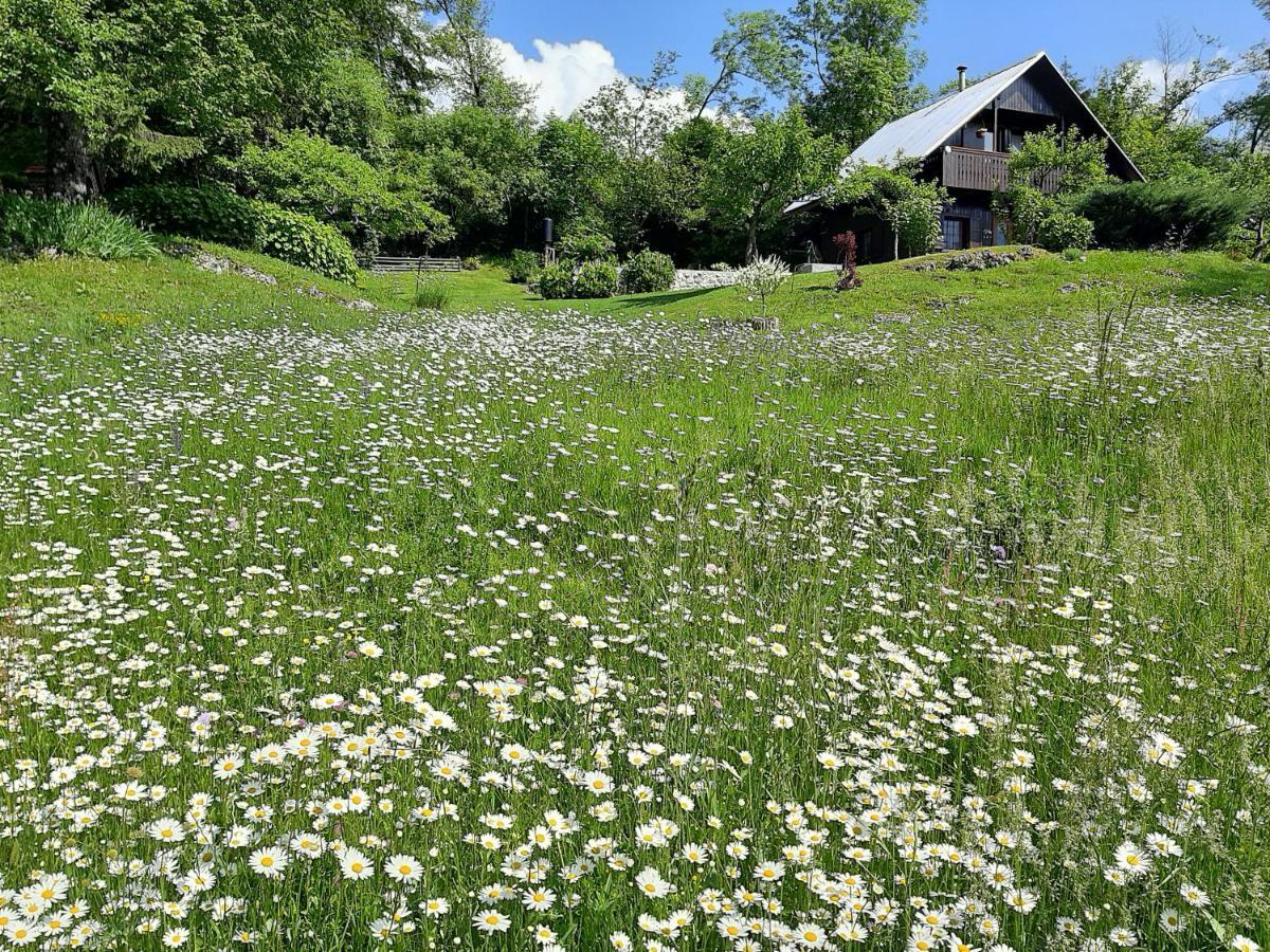 Vila Pocitniska Hisa Eros Bohinj Exteriér fotografie